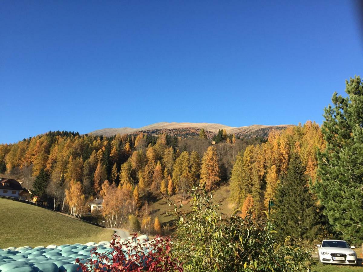 Отель Feielhof Krakaudorf Экстерьер фото