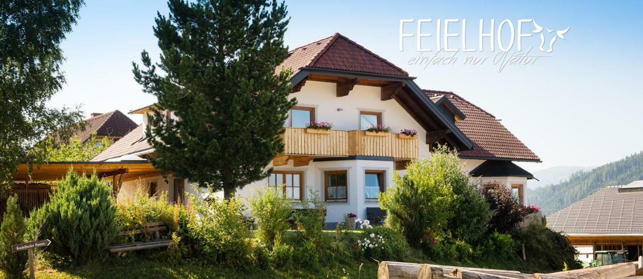 Отель Feielhof Krakaudorf Экстерьер фото